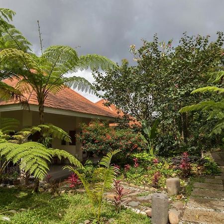 Ara Garden Inn, Accommodation, Yoga Studio & Spa Ruteng Eksteriør billede