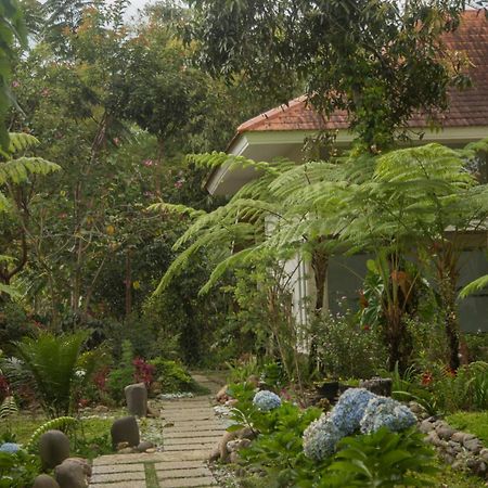 Ara Garden Inn, Accommodation, Yoga Studio & Spa Ruteng Eksteriør billede