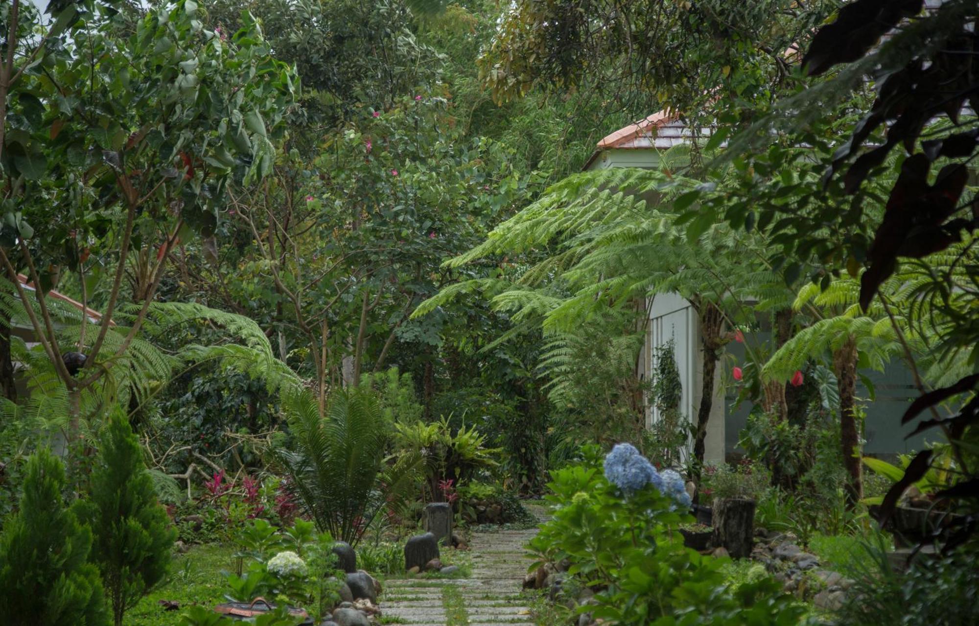 Ara Garden Inn, Accommodation, Yoga Studio & Spa Ruteng Eksteriør billede